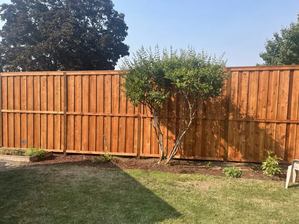 Backyard with newly installed cedar wood fence, small landscaped garden bed with shrubs and tree, green lawn under clear sky, showcasing Timberhill Fence & Deck craftsmanship.