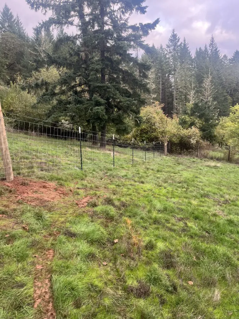 rural timberhill fence and deck property showing a newly installed wire mesh fence with metal posts on green grassy land surrounded by tall evergreen trees under a cloudy sky