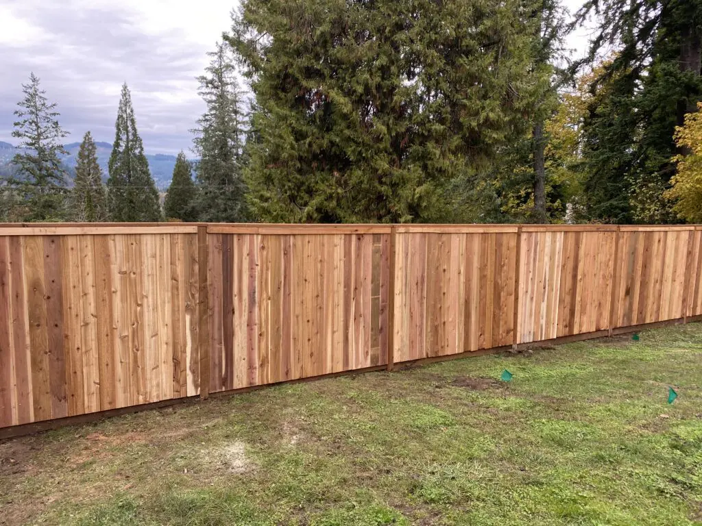 newly installed cedar wood fence panels surrounding a grassy backyard with tall evergreen trees and mountains in the background, showcasing quality Timberhill Fence & Deck craftsmanship and natural outdoor privacy solutions