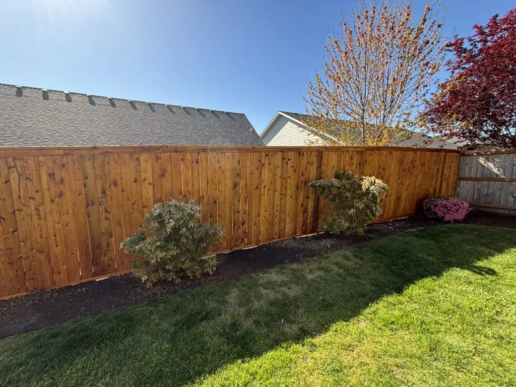 Backyard with newly installed wooden fence, green lawn, and landscaped shrubs under clear blue sky, showcasing Timberhill Fence & Deck craftsmanship.