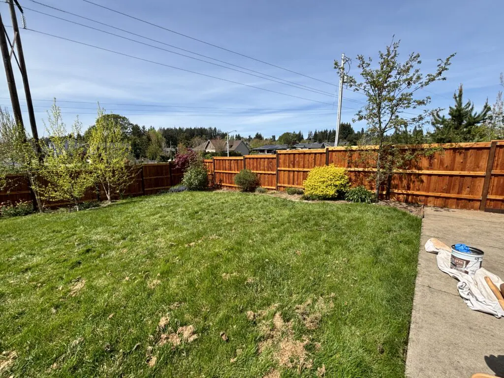 Backyard with freshly laid green lawn, new wooden fence, young trees and shrubs, concrete patio with painting supplies, showcasing timberhill fence and deck services.