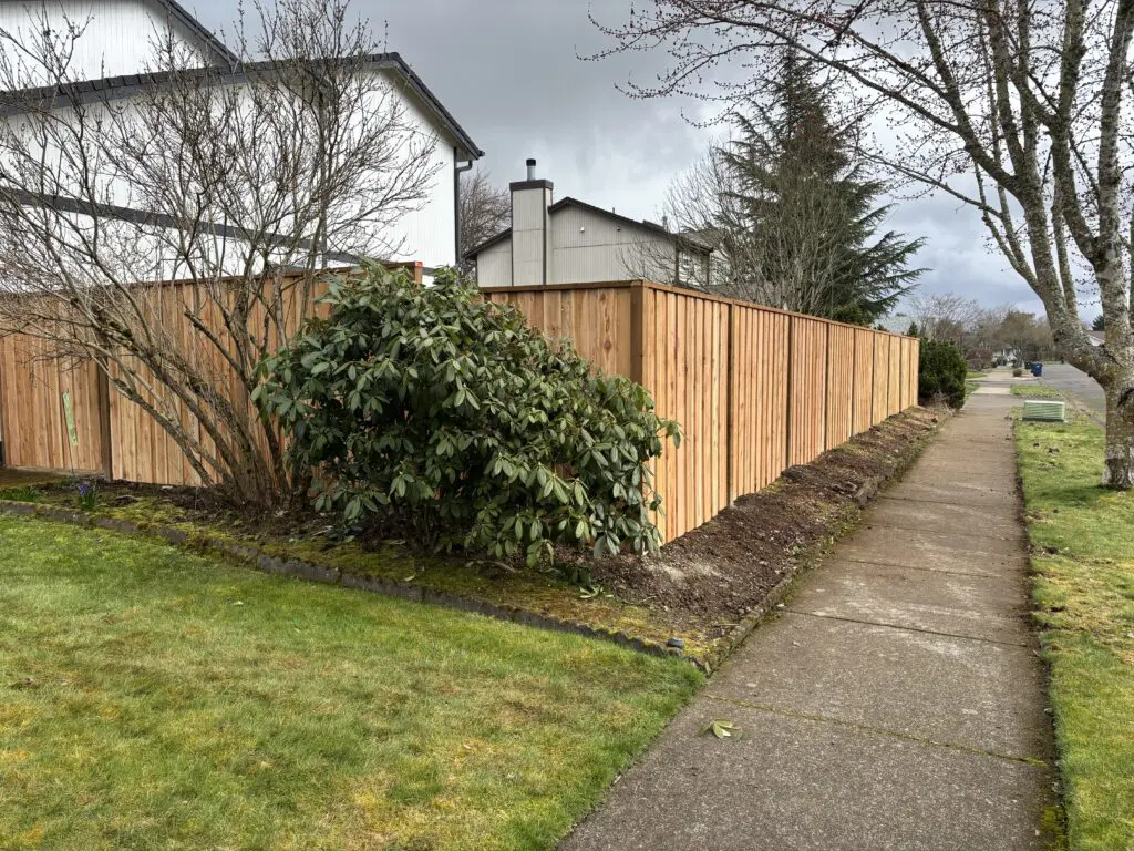 Residential backyard with newly installed wooden privacy fence along a sidewalk, bordered by shrubs and grass lawn, under an overcast sky.